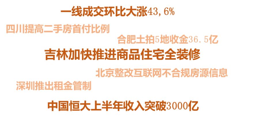 吴裕彬最新观点，探索科技与社会发展的交融之路