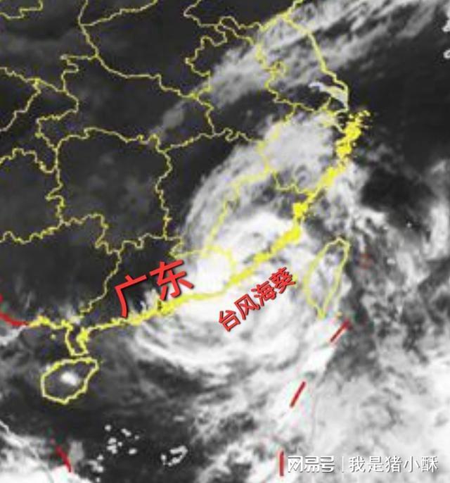 台风最新动态解析及应对举措今日速递