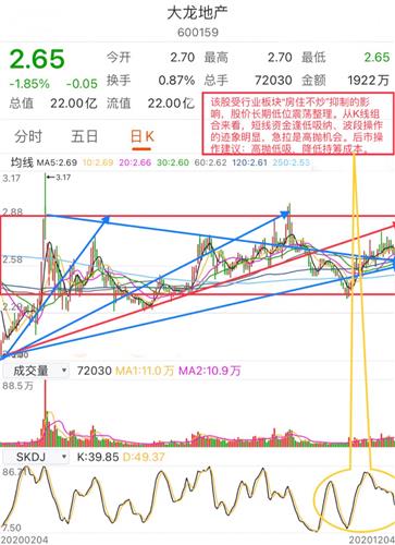 大龙最新动态揭秘，未来无限可能展望