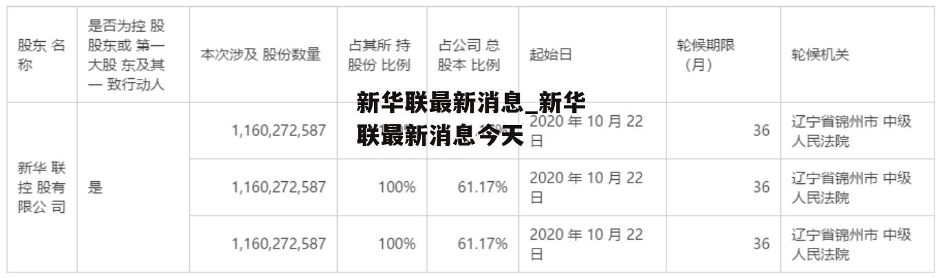 新华联迈向新征程，展现新作为，最新动态报告