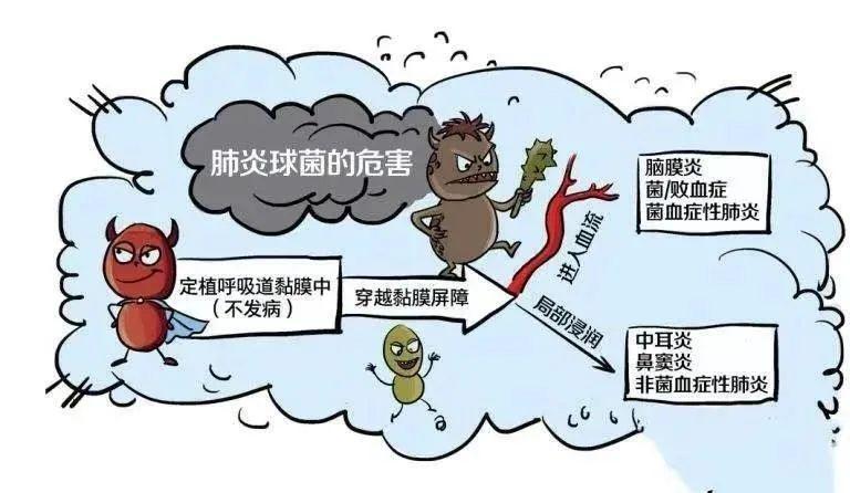 州肺炎最新动态，全面科学应对防控