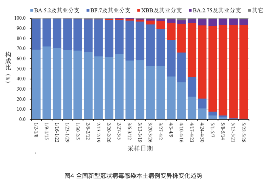 中国新冠疫情数据最新概况深度解析