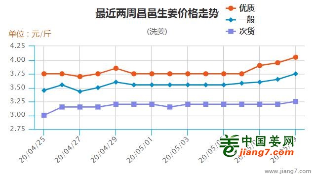 昌邑今日姜价行情解析