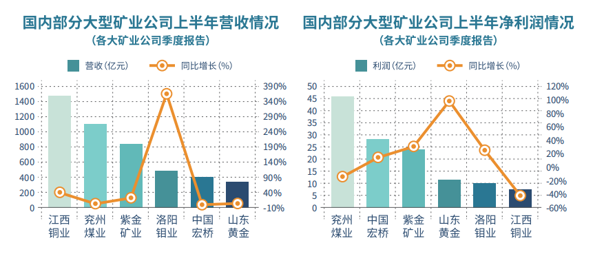 全球肉疫情最新动向，挑战与应对策略解析