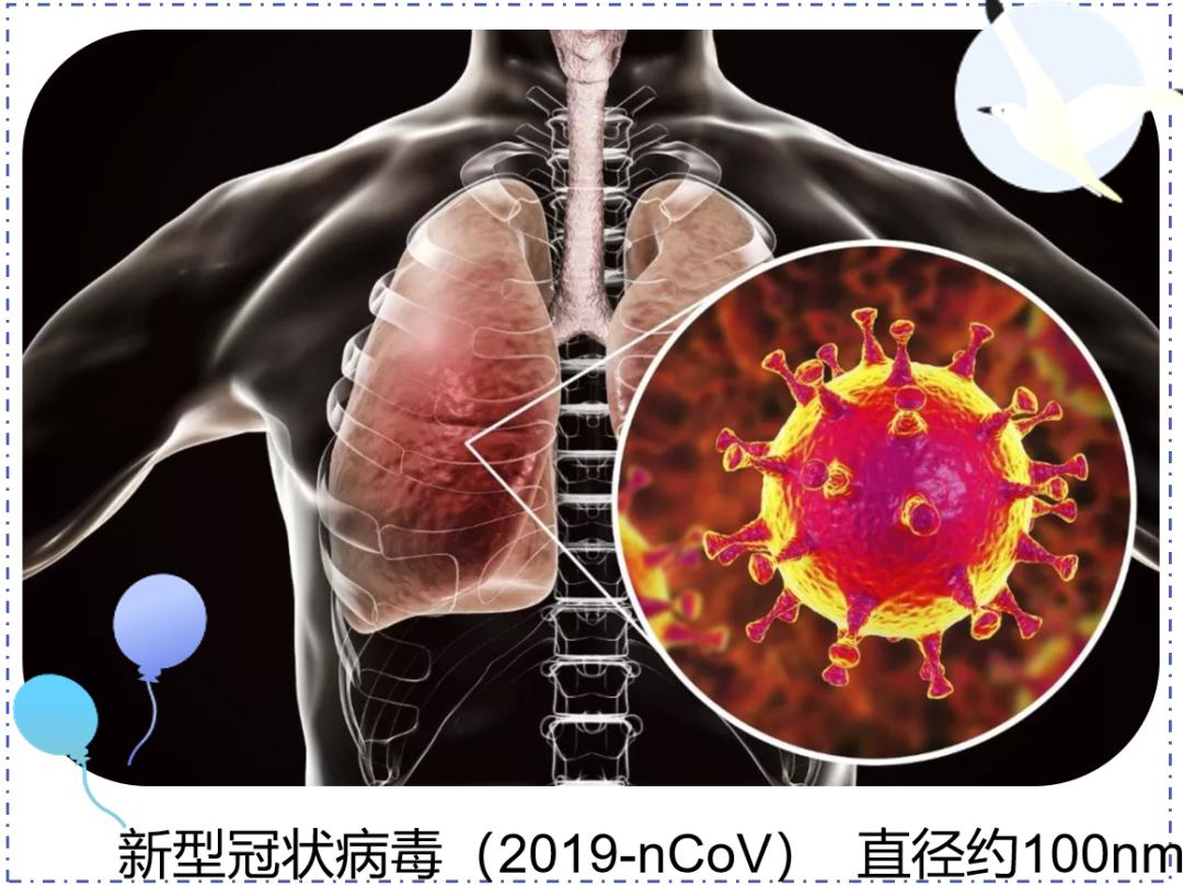 新冠肺炎源头探寻，科研进展、挑战与最新研究