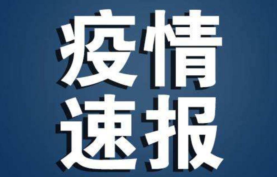 全球抗击新冠疫情的最新动态与挑战，新型冠状病毒最新发展概述