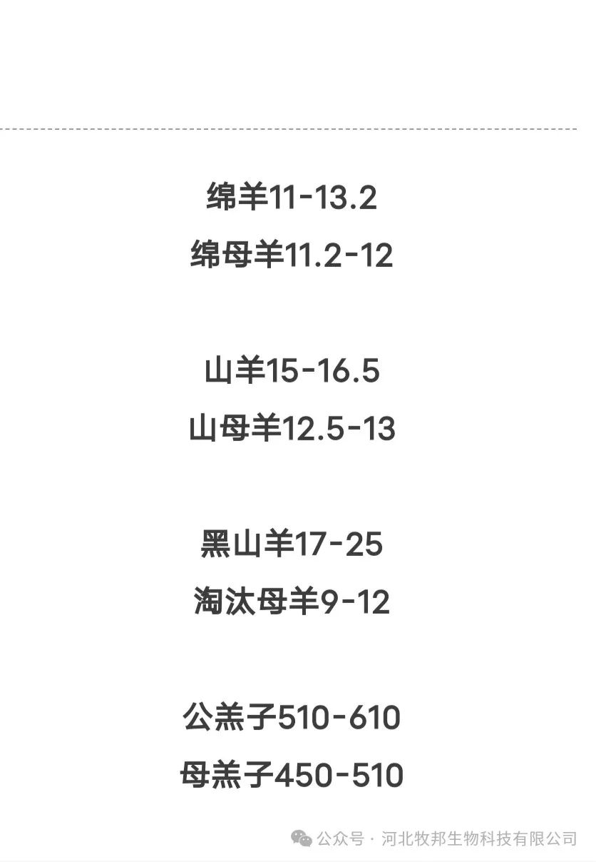 今日全国羊价行情更新