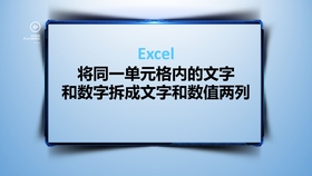 三肖必中特三肖三期内必中,权威解析说明_钱包版95.509