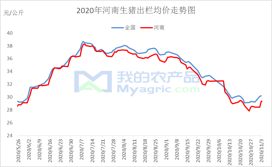 河南今日生猪价格动态解析