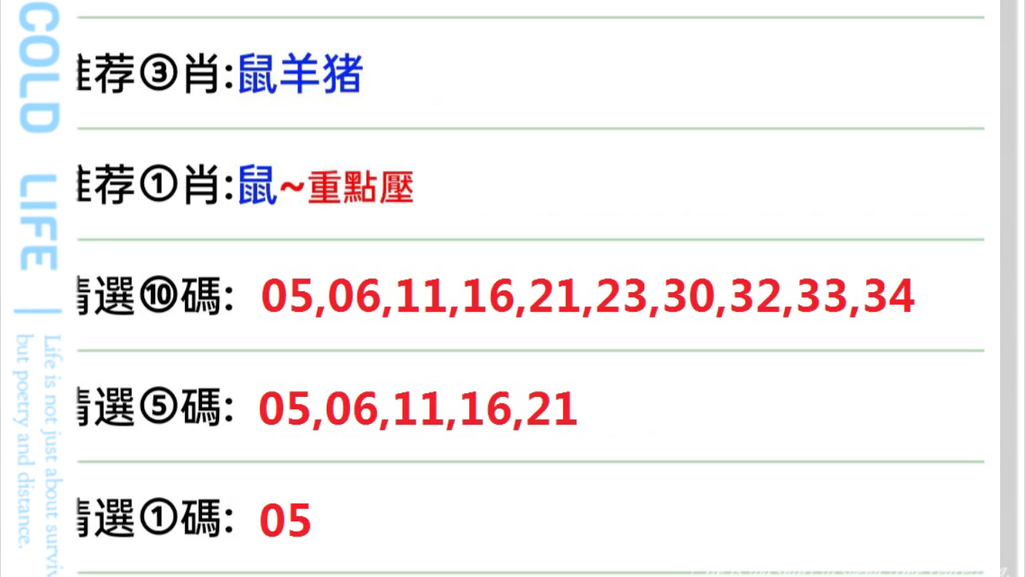 澳门六今晚开什么特马,动态词语解释定义_特别款48.534