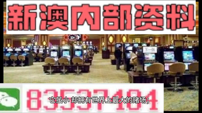 2024新澳门正版精准免费大全,深入数据应用计划_领航款69.563