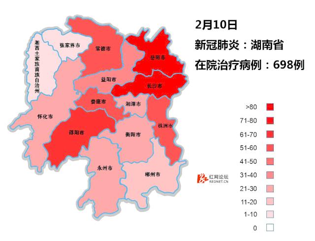 疫感最新消息全面解读与分析