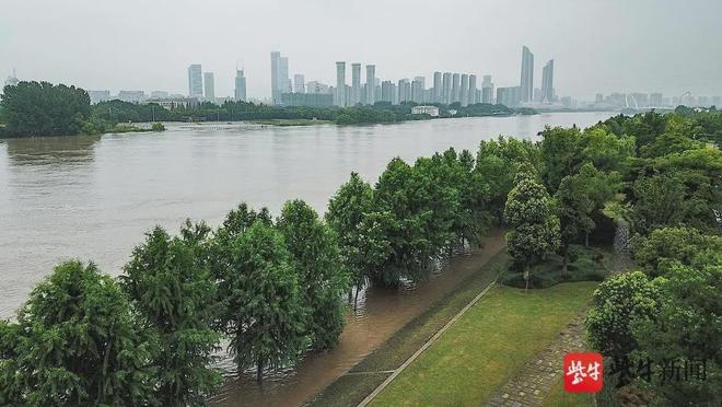 南京水灾最新动态，城市挑战与应对策略