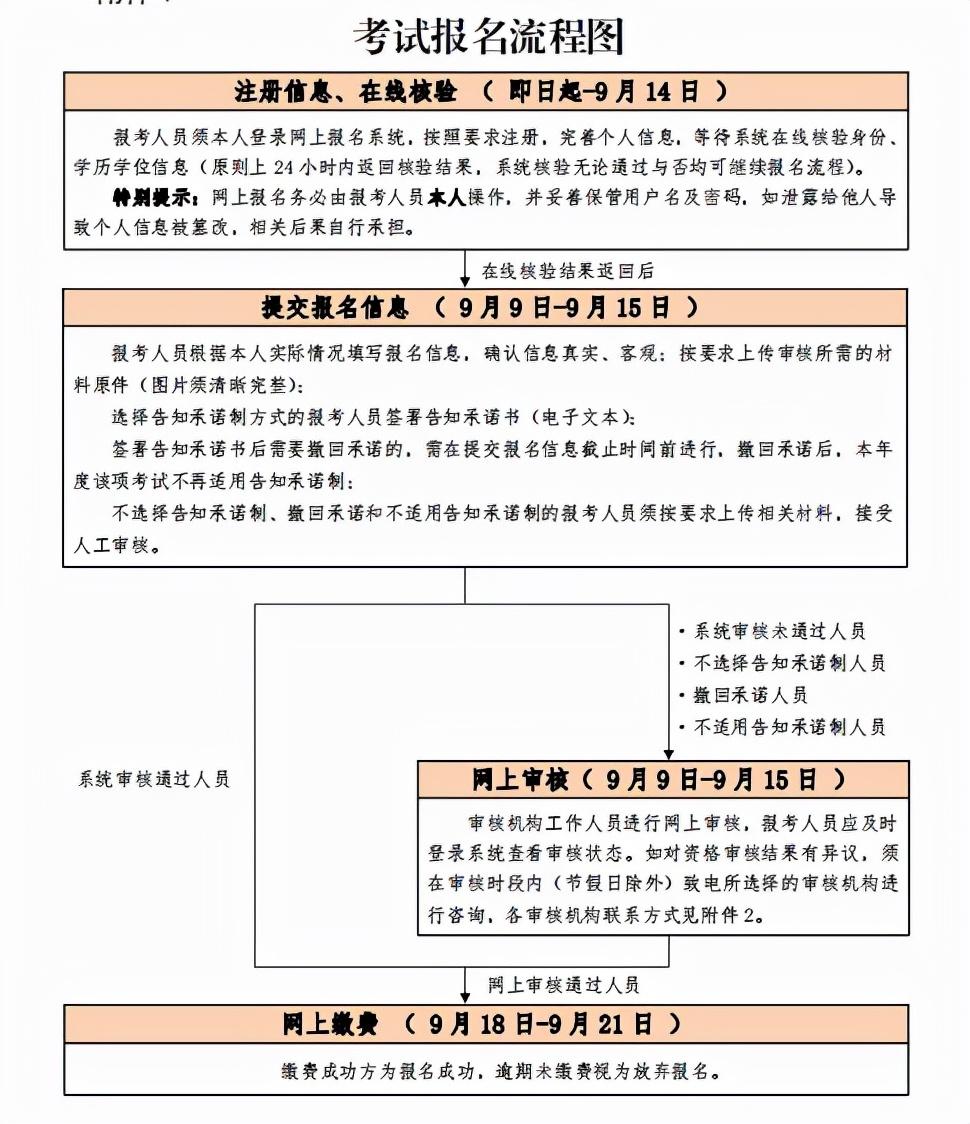 注册考试最新动态，变化与挑战同步来临