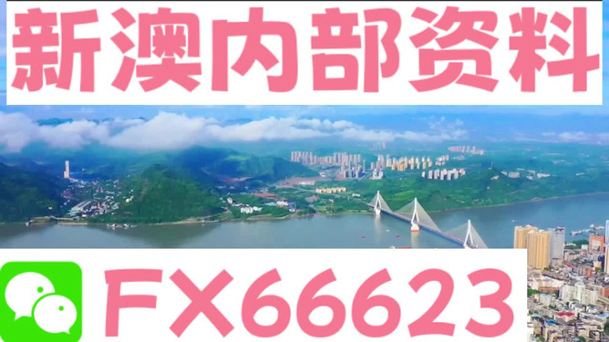 新澳精准资料免费提供网站有哪些,资源整合实施_8K87.391