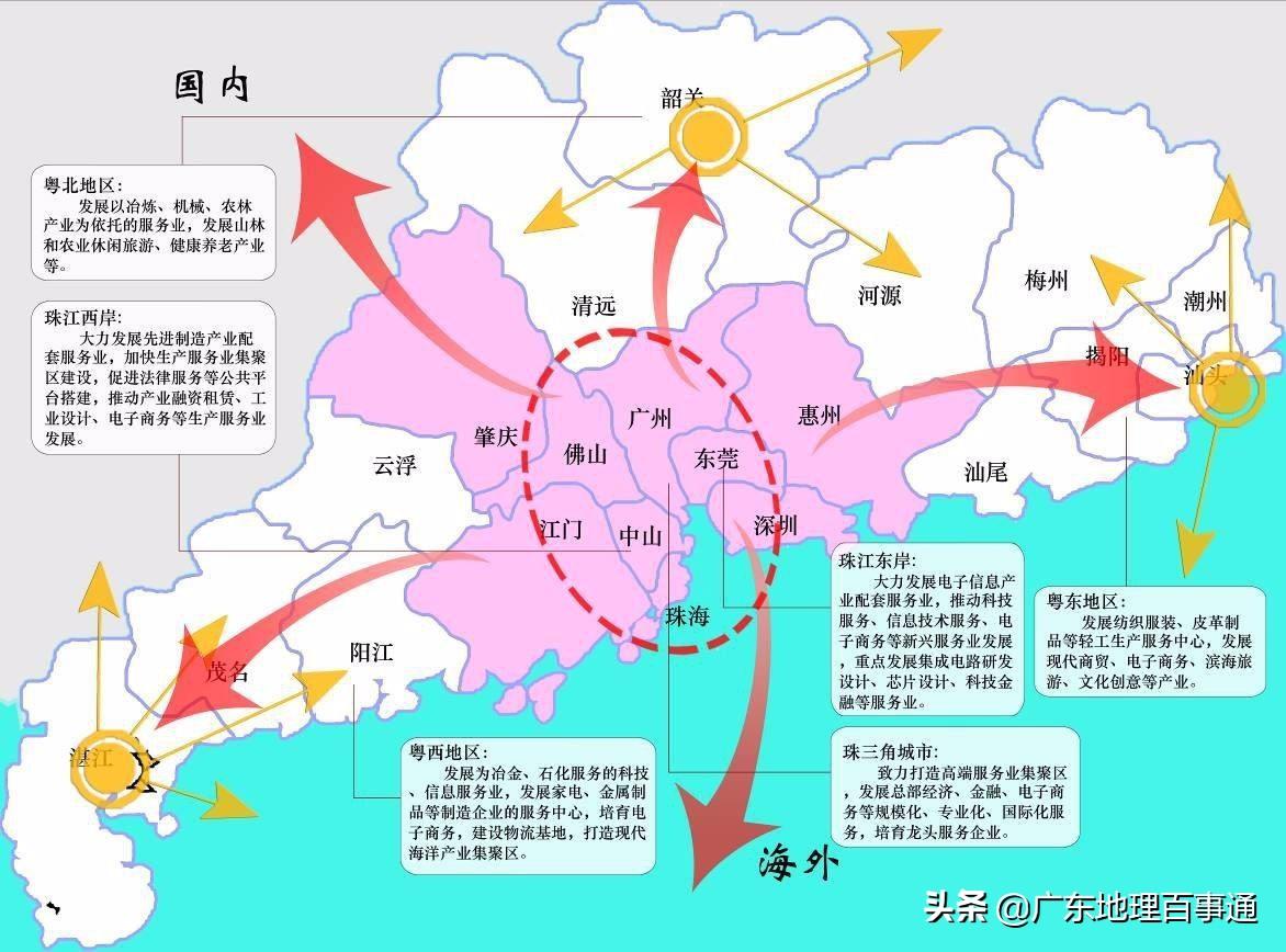 新澳门三期必开一期,权威说明解析_专业款73.231