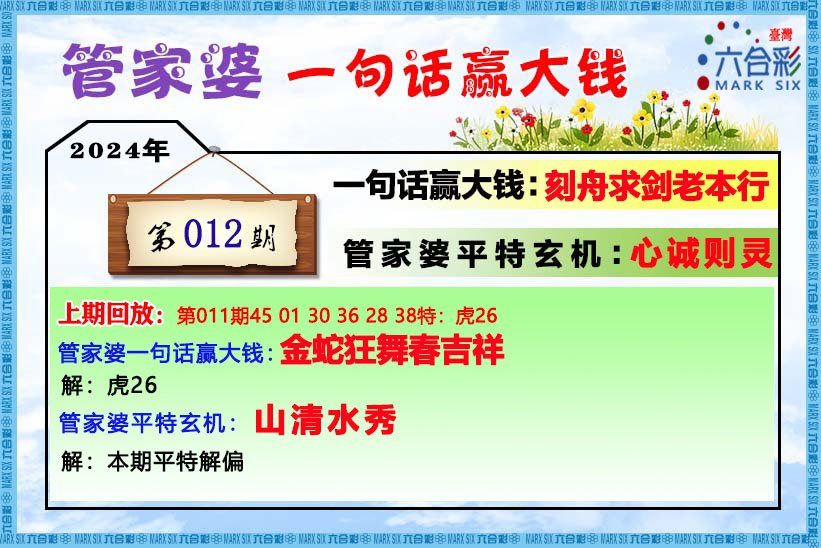 管家婆的资料一肖中特176期,经典解答解释定义_精英版18.65