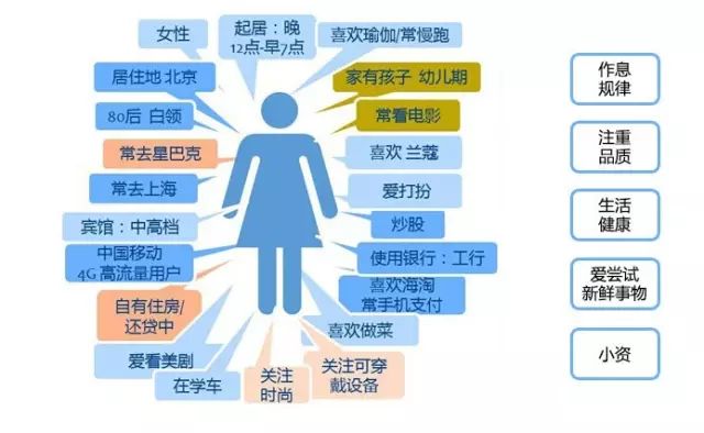 澳门免费公开资料最准的资料,全面分析数据执行_工具版96.953