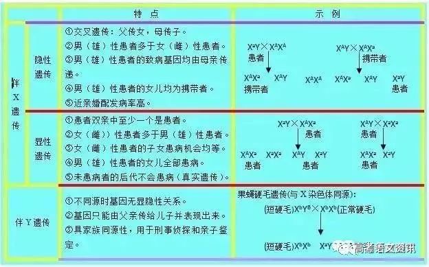 三肖三期必出特肖资料,战略方案优化_VIP88.373