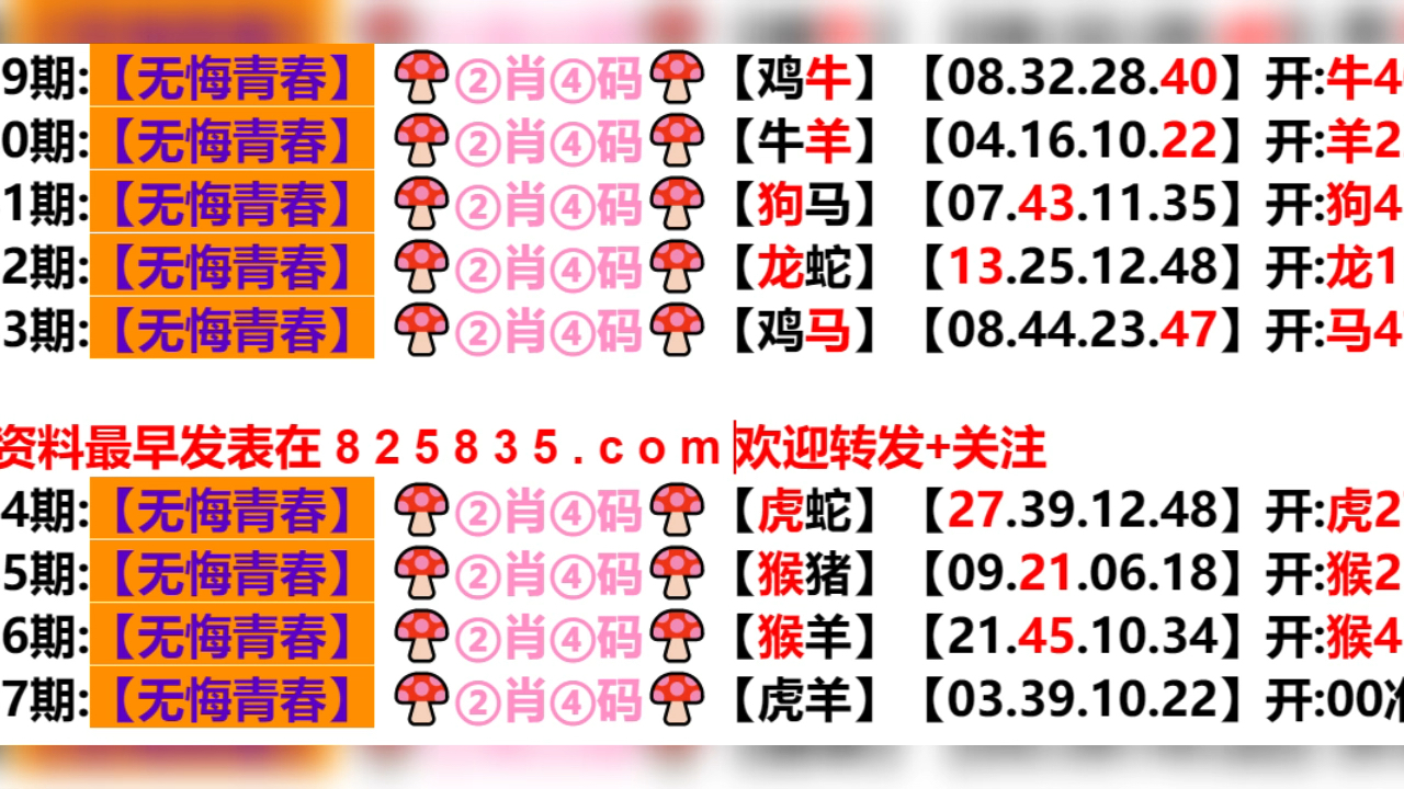 2024新澳门天天开好彩大全孔的五伏,高效解析说明_U79.468