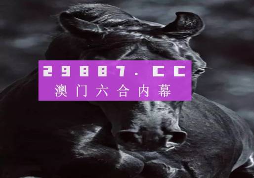 澳门天天开彩开奖结果,实地说明解析_户外版13.732