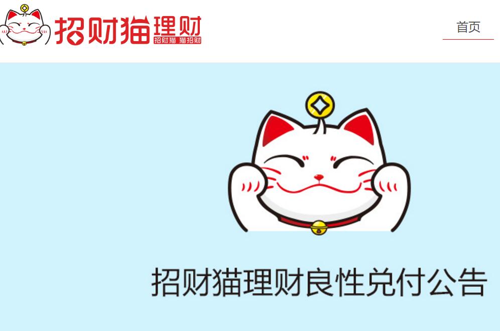 理财猫最新动态揭秘，金融市场趋势与策略解析