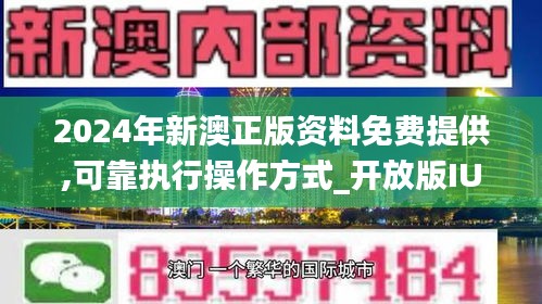 新澳2024年正版资料,灵活解析方案_kit21.384