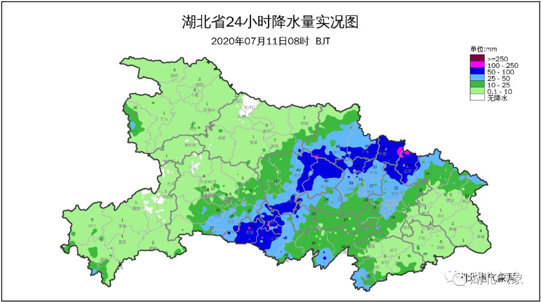 荆州洪水最新动态，城市抗洪救灾进展、挑战仍存