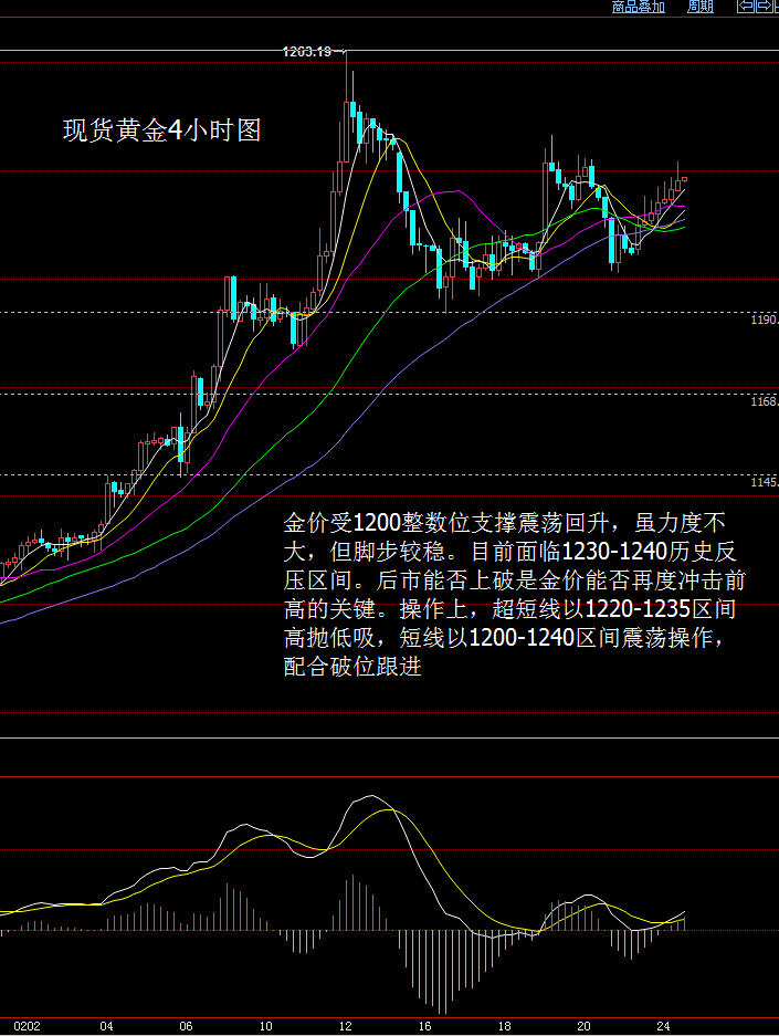 现货黄金操作指南，最新建议与策略