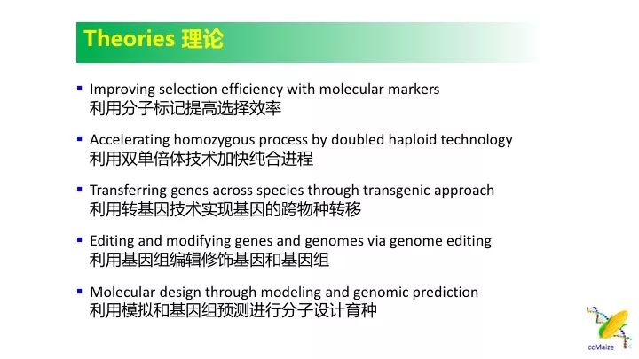 新澳精准正版资料免费,真实解答解释定义_挑战款93.691