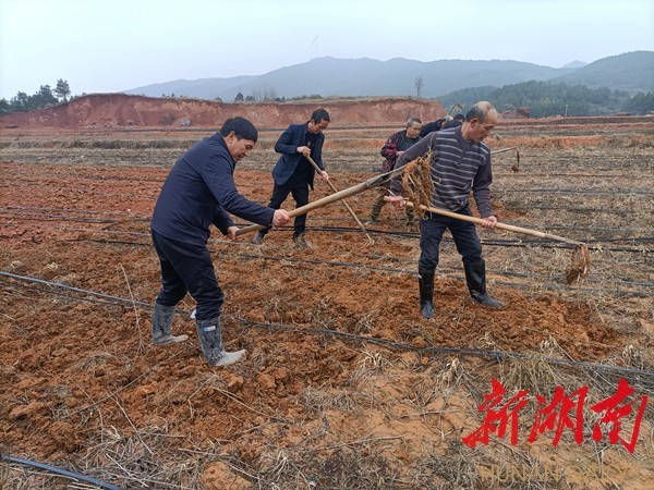 祁阳原种场最新动态深度解析