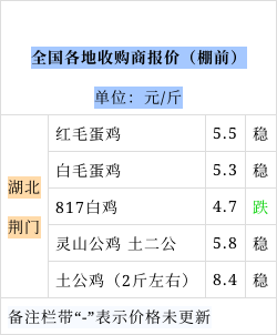 今日麻鸡价格行情与市场分析报告