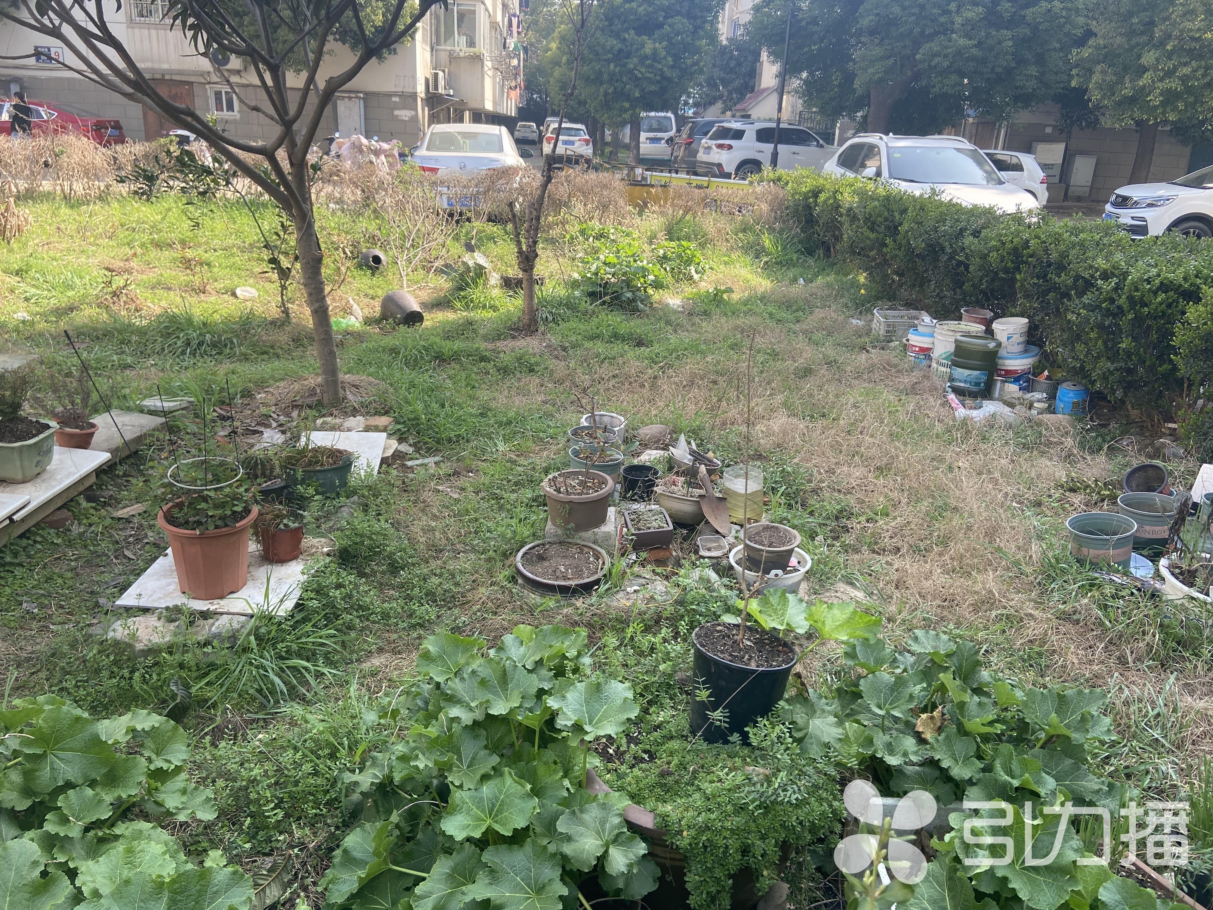 苏州市西园路重塑规划，城市风貌与社区活力焕发新貌