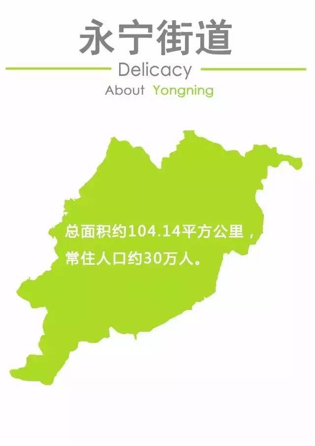 增城最新地图揭示，城市发展的脉络与未来蓝图展望