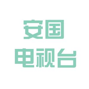 安国市最新招聘信息网，人才与企业的高效对接平台