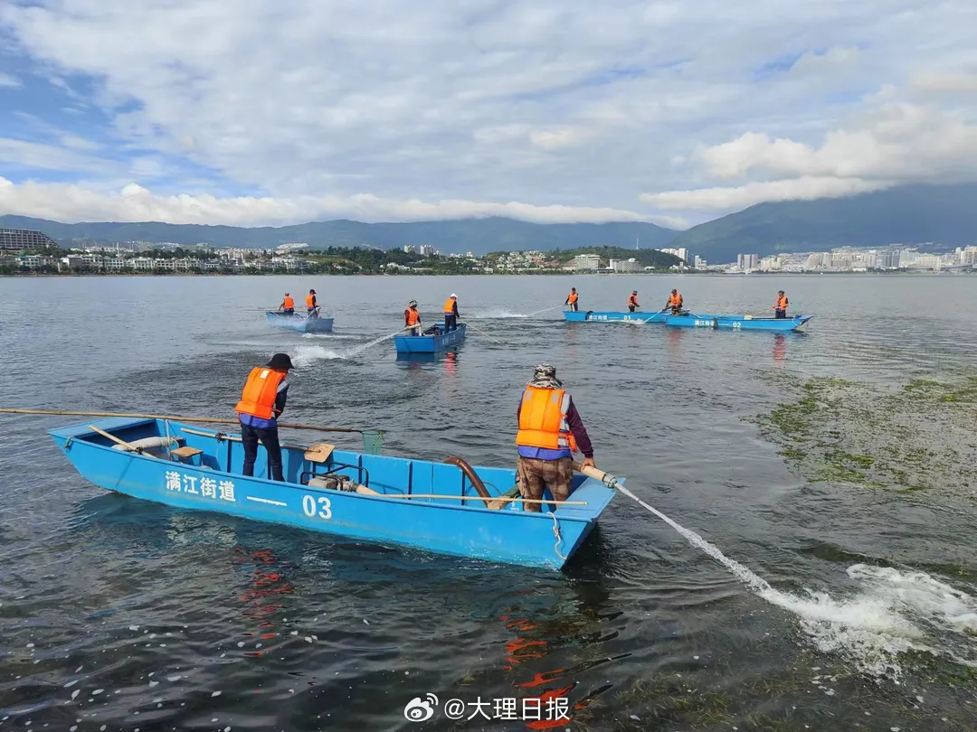 大理洱海整治最新动态，坚定迈向生态文明步伐