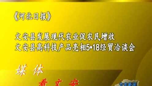 文安大众论坛最新信息深度解析报告