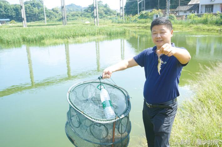 长沙县安沙镇最新消息全面解析