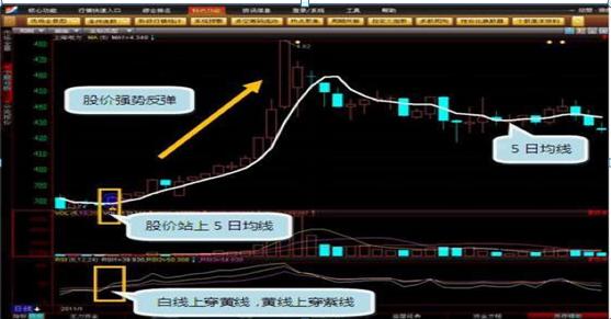 浙江富润最新行情深度解析