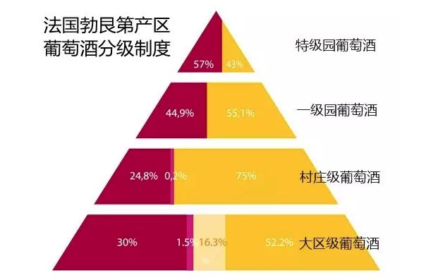 今晚澳门特马开的什么，详细解答解释落实_i3q56.19.67