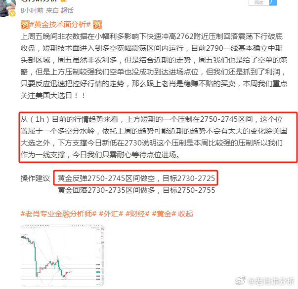 一肖一码中持一一肖一码，详细解答解释落实_6mo34.01.63