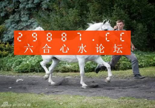 7777788888新版跑狗图，深度解答解释落实_u665.11.72