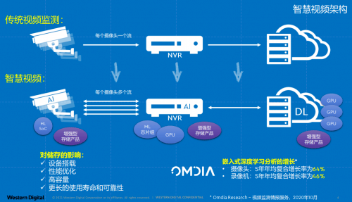 卷帘门最佳答案什么动物，时代解答解释落实_7d68.79.45