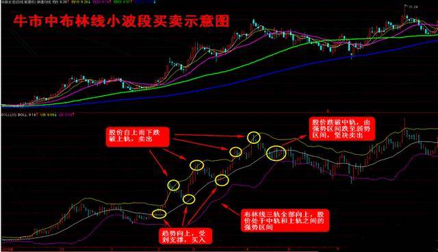 管家婆三期必开一期，精准解答解释落实_87r23.07.92