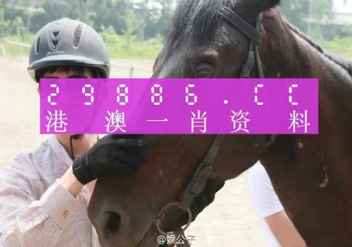 澳门今晚一肖一码，时代解答解释落实_9b98.66.10