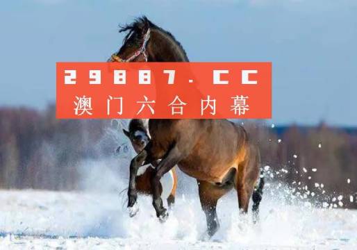 澳门今晚一肖必中特，专家解答解释落实_cz62.85.19