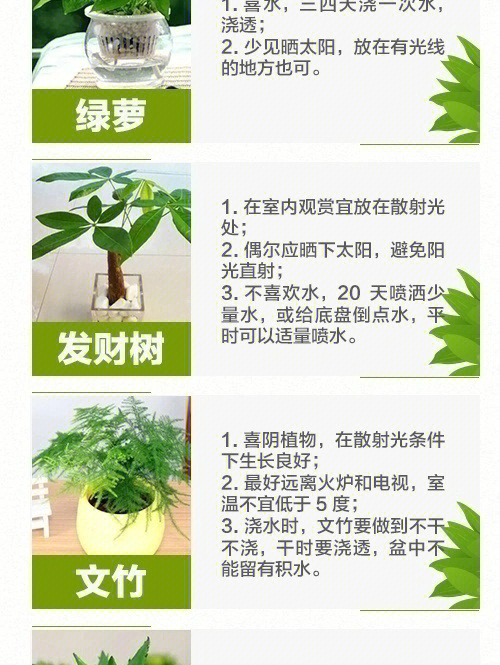 植物重生秘籍，实用生活小妙招分享