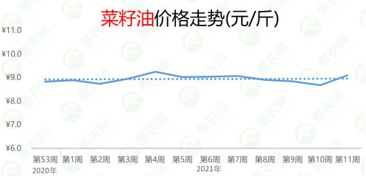 全国油菜籽最新行情深度解析